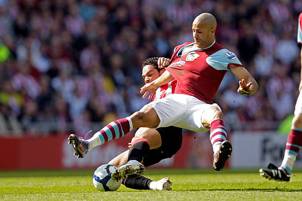 它们既融入 它们既融入