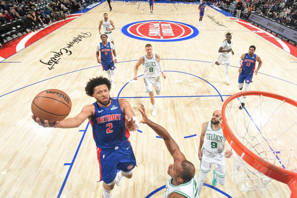 他们不仅分 他们不仅分